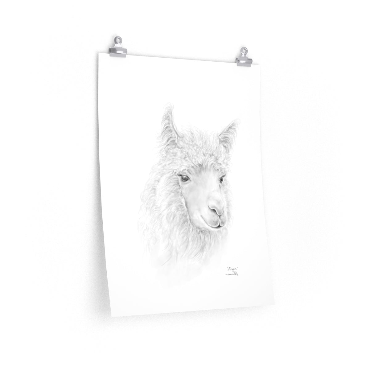 MORGAN Llama- Art Paper Print