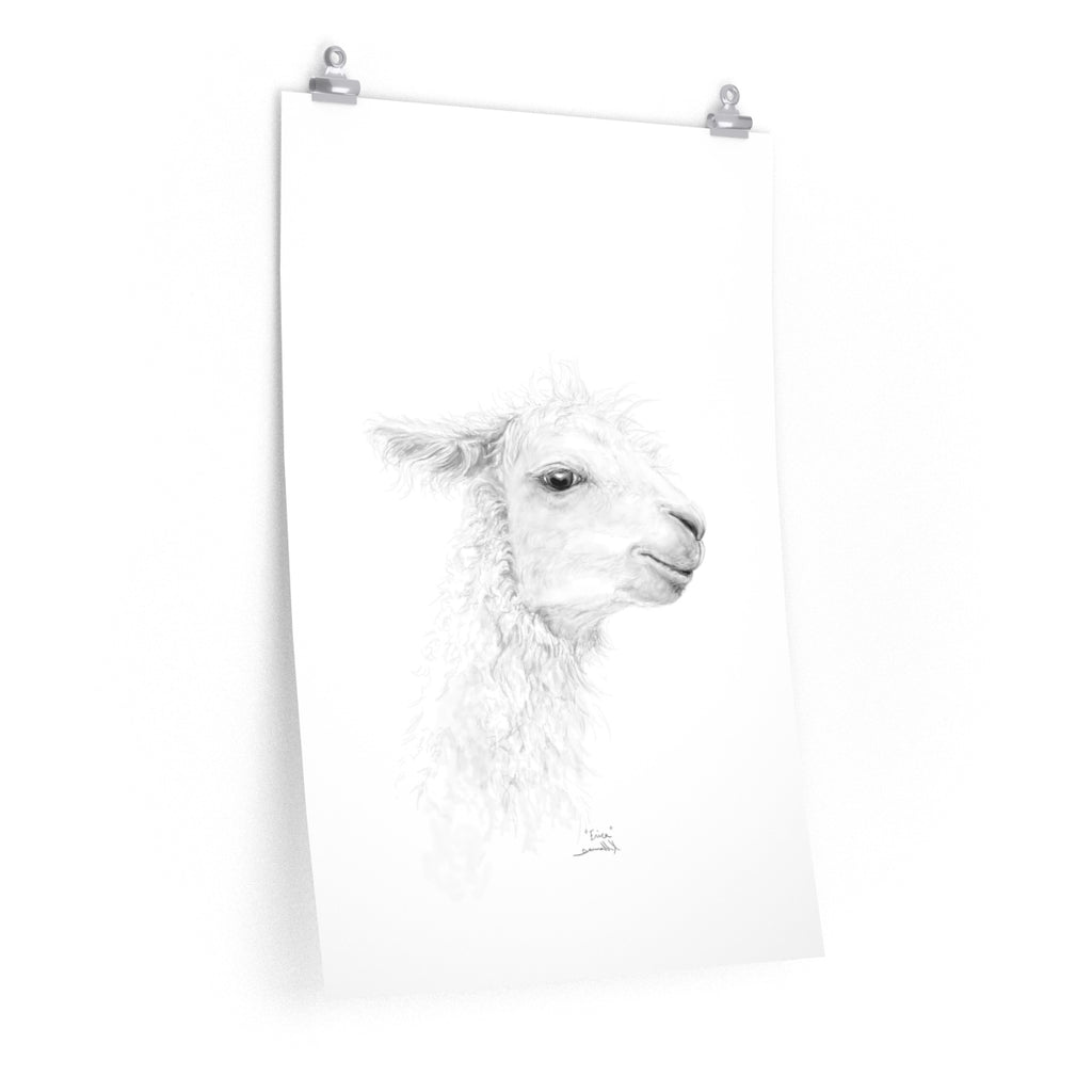 ERICA Llama- Art Paper Print