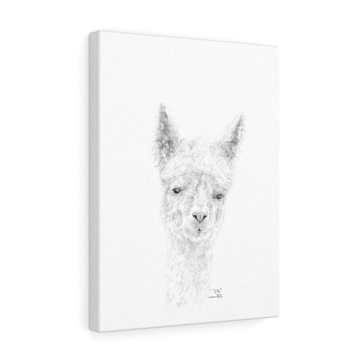 ELLA llama- Art Canvas