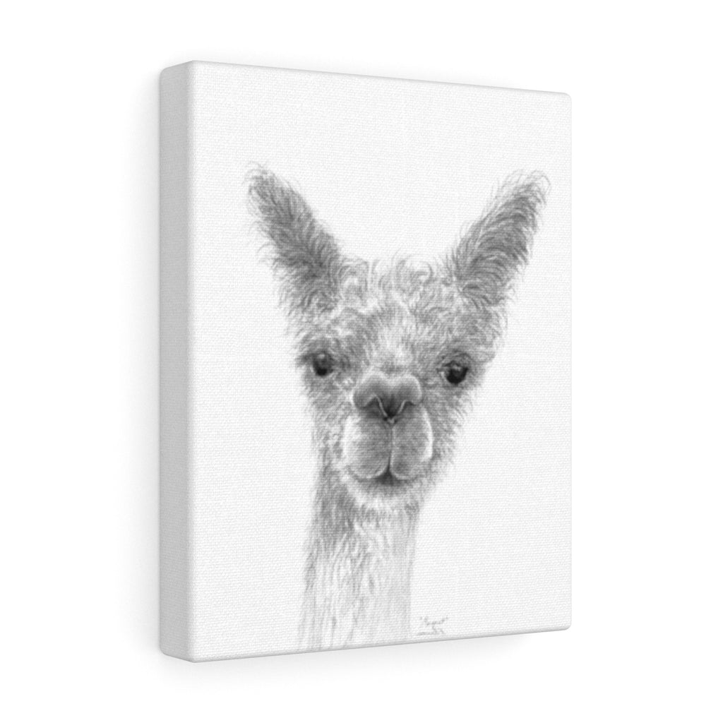MARGARET Llama - Art Canvas