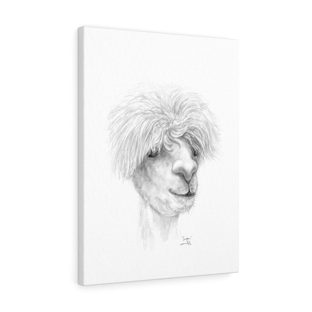 COOPER Llama - Art Canvas
