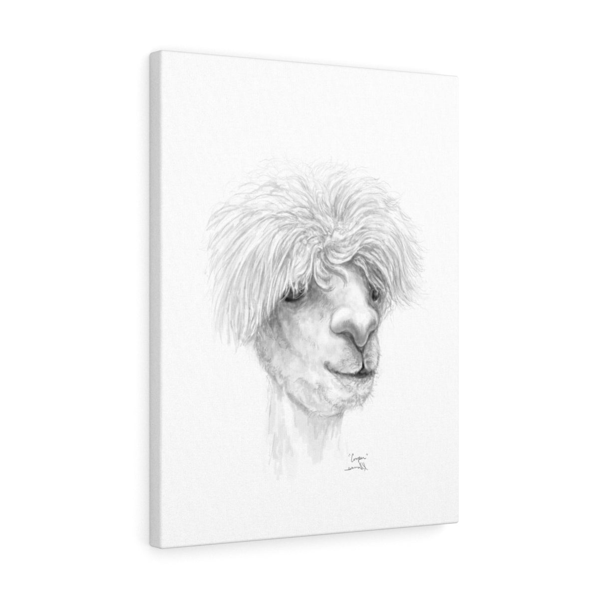 COOPER Llama - Art Canvas