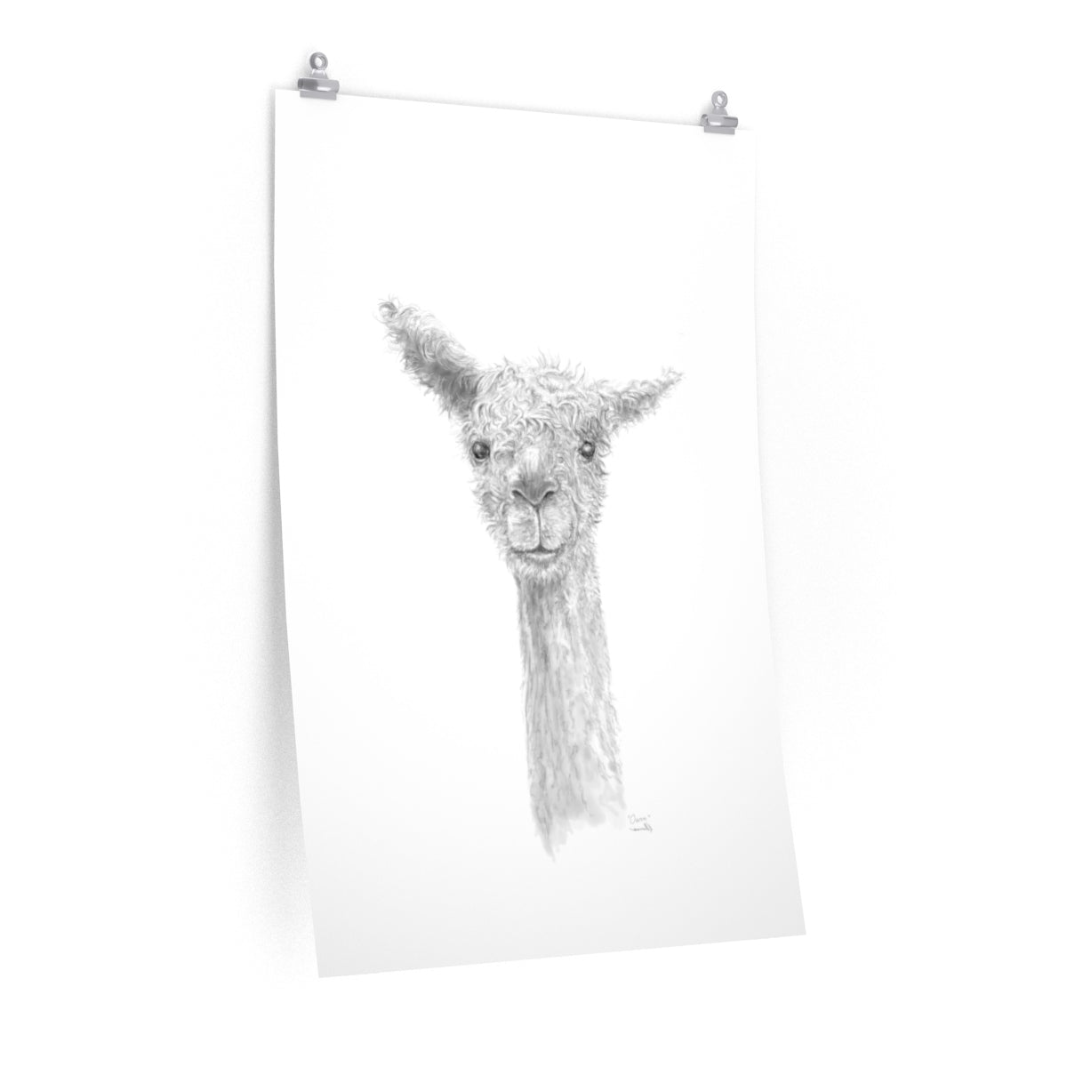 OWEN Llama- Art Paper Print