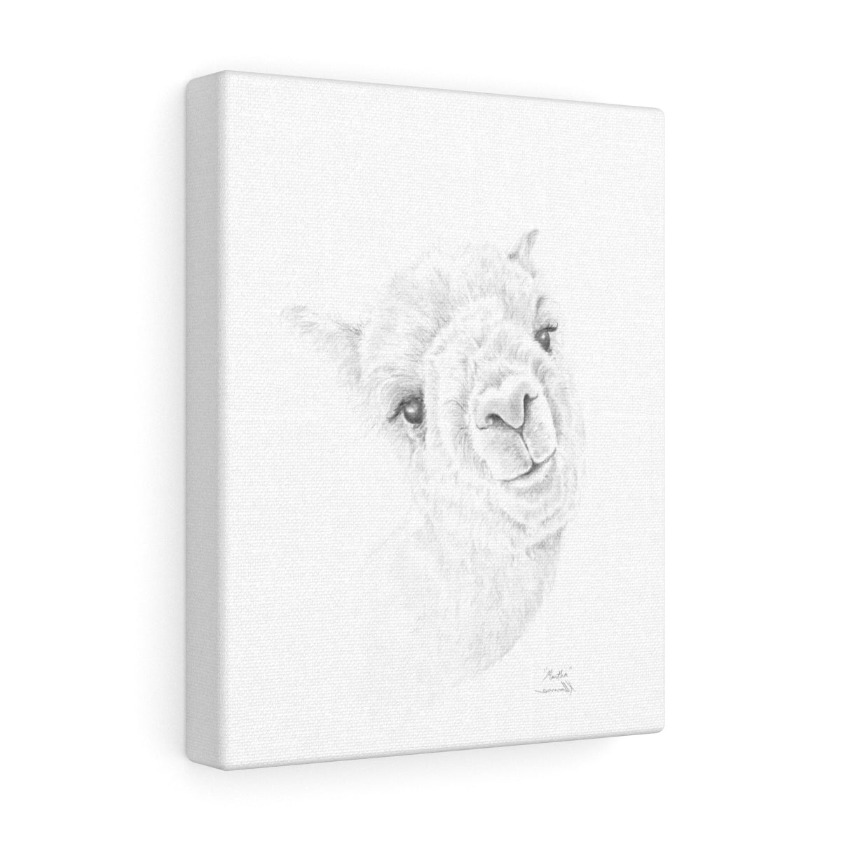 MARTHA Llama - Art Canvas