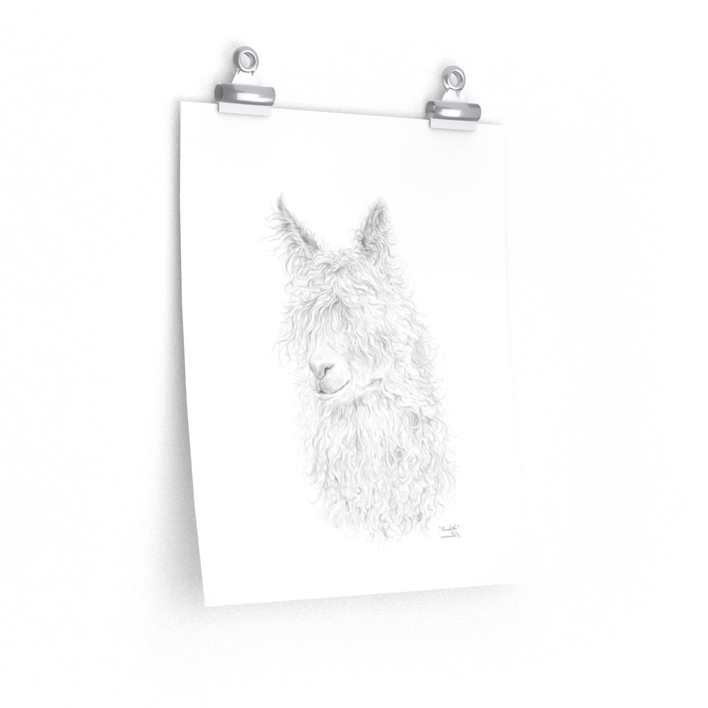 MEREDITH Llama- Art Paper Print