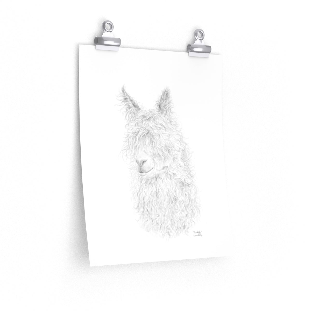 MEREDITH Llama- Art Paper Print