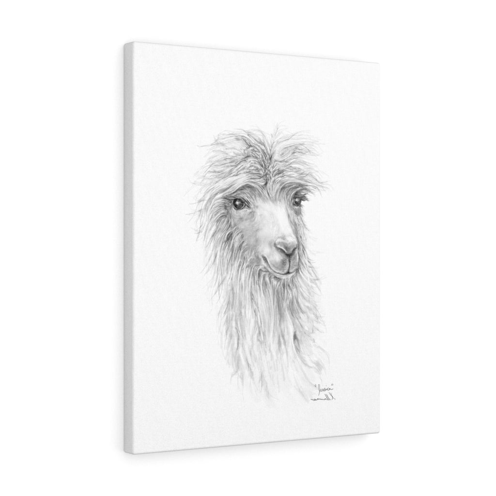 JESSICA Llama - Art Canvas