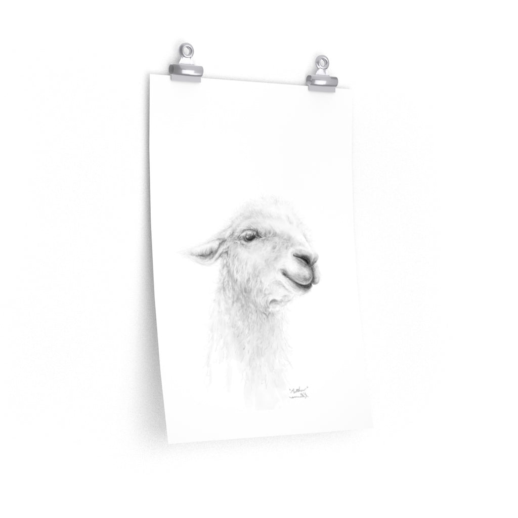 MATTHEW Llama- Art Paper Print
