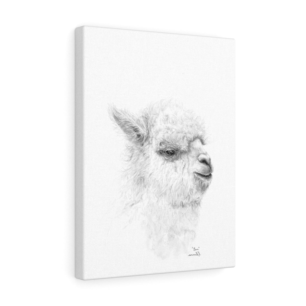 BEN Llama - Art Canvas