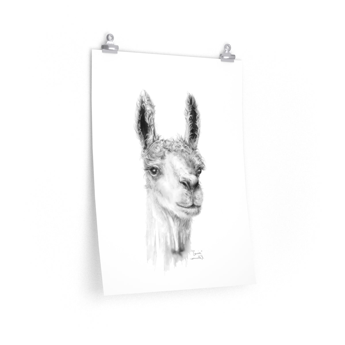 CARRIE Llama- Art Paper Print