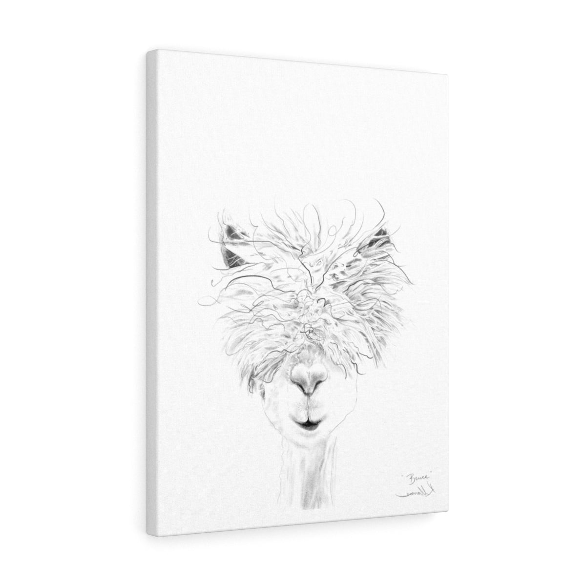 BRUCE Llama - Art Canvas