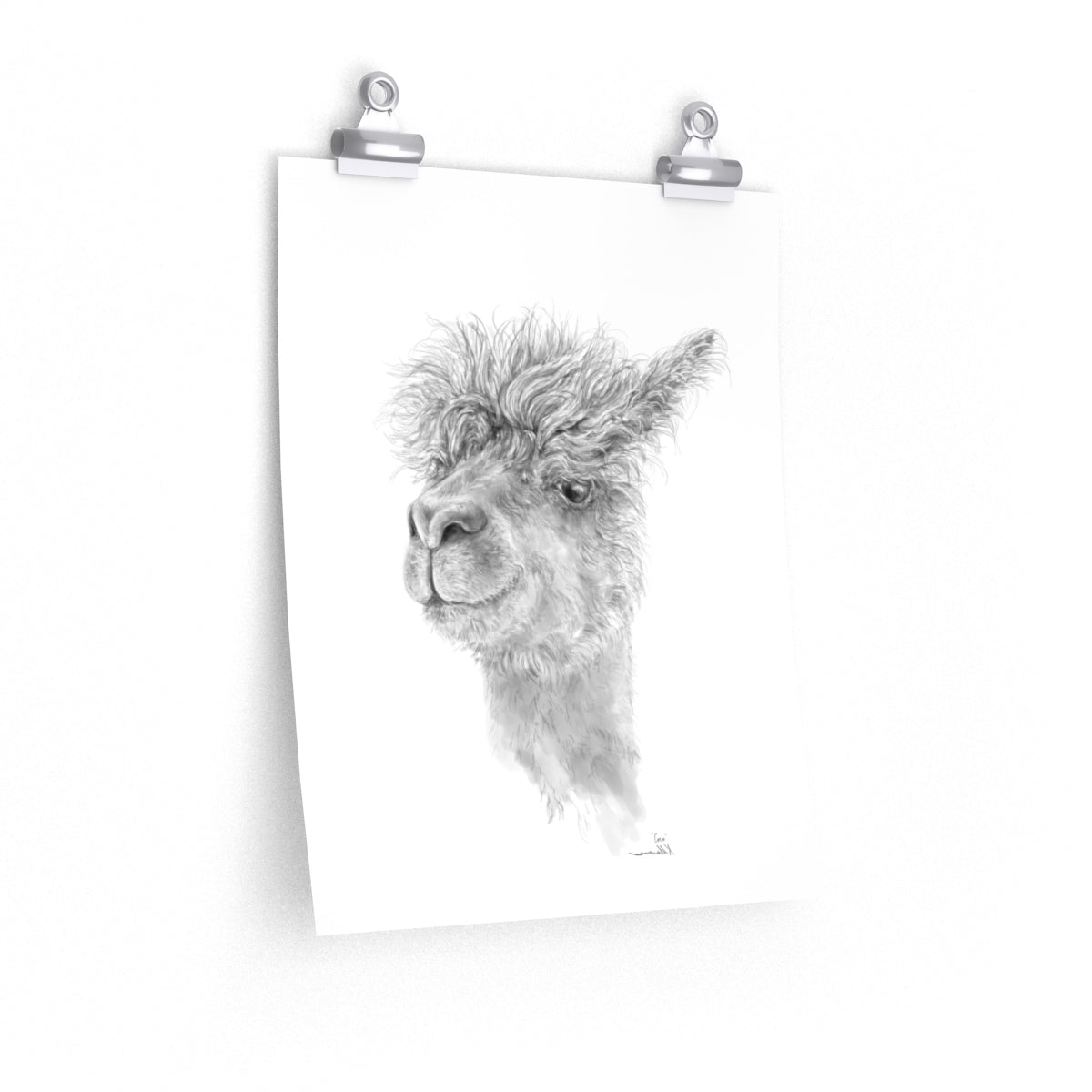 COCO Llama- Art Paper Print