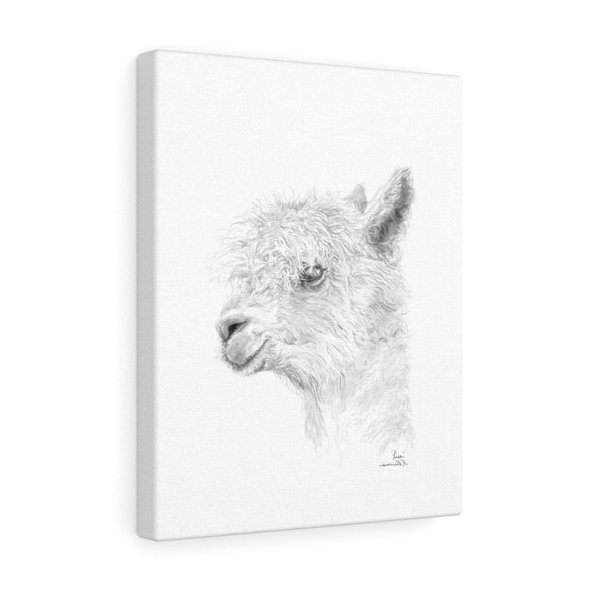 LISA Llama - Art Canvas