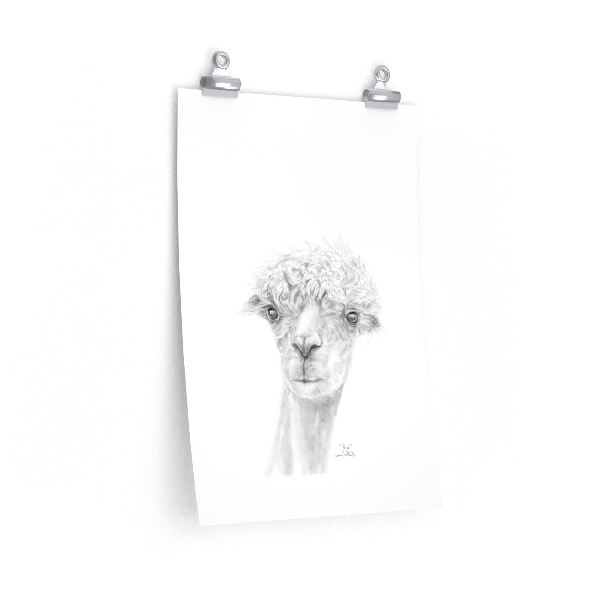 JOSE Llama- Art Paper Print