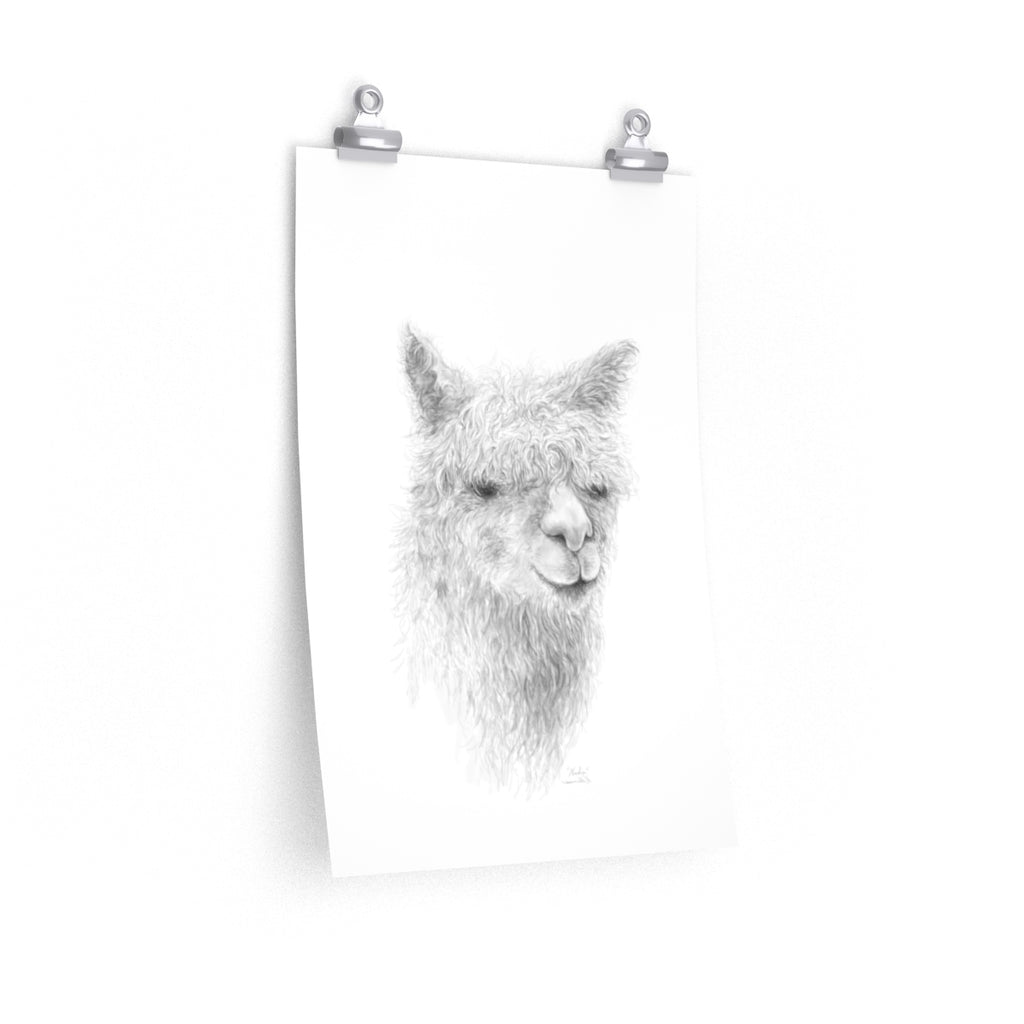 NADIA Llama- Art Paper Print