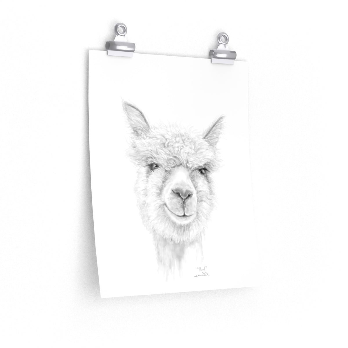 PAUL Llama- Art Paper Print