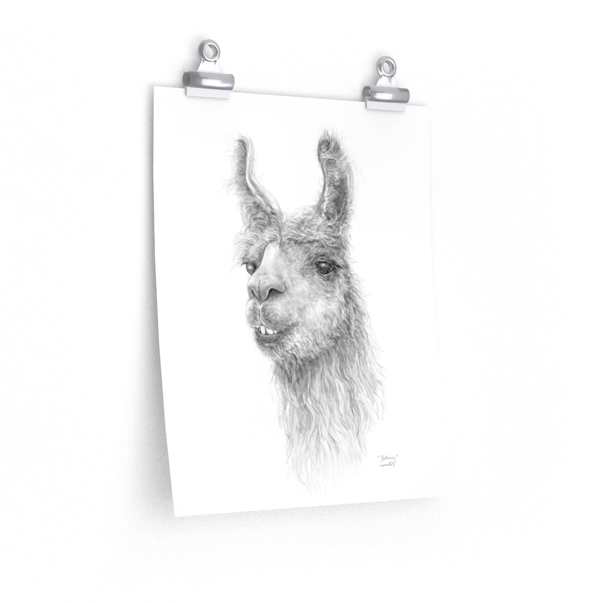 BETHANY Llama- Art Paper Print