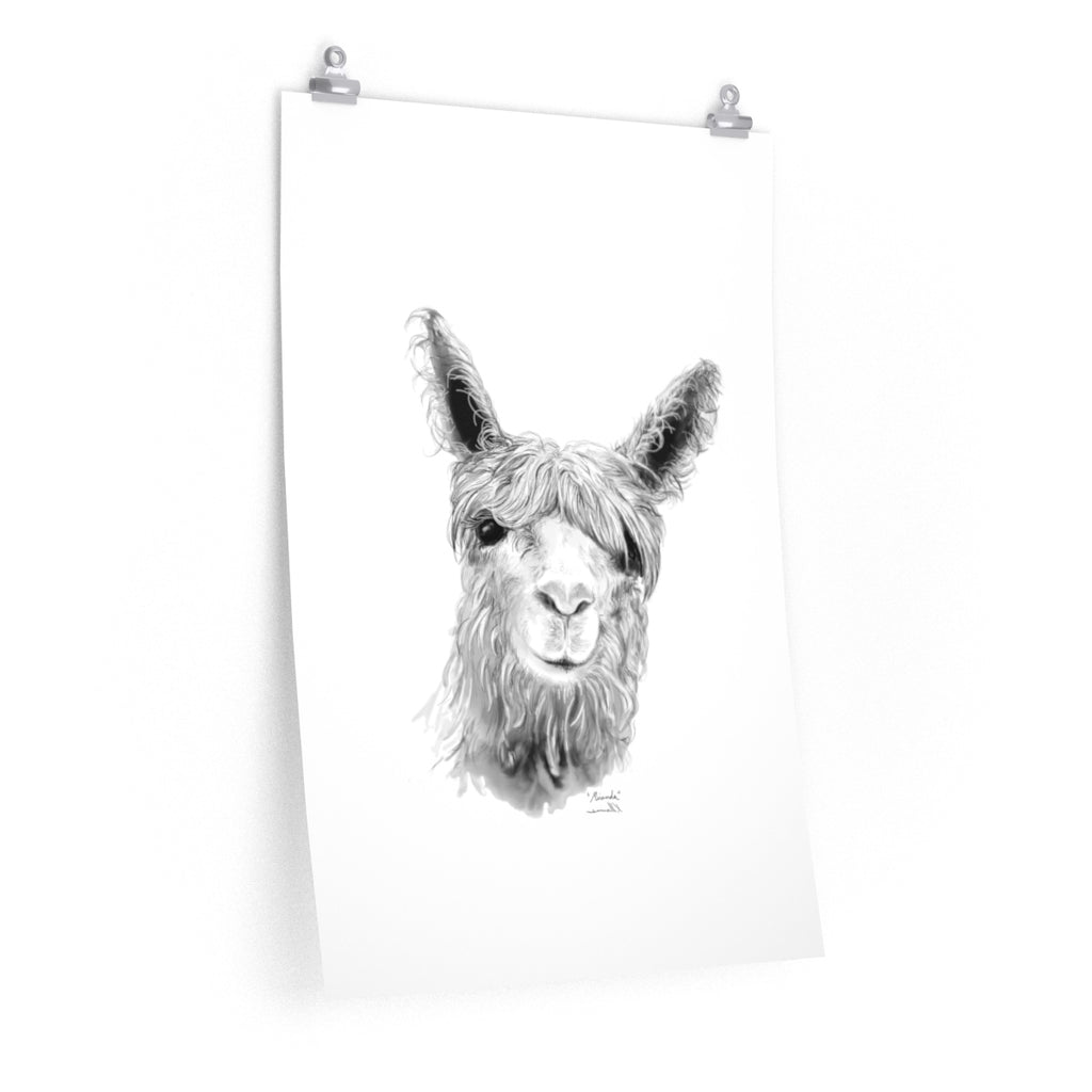 MIRANDA Llama- Art Paper Print