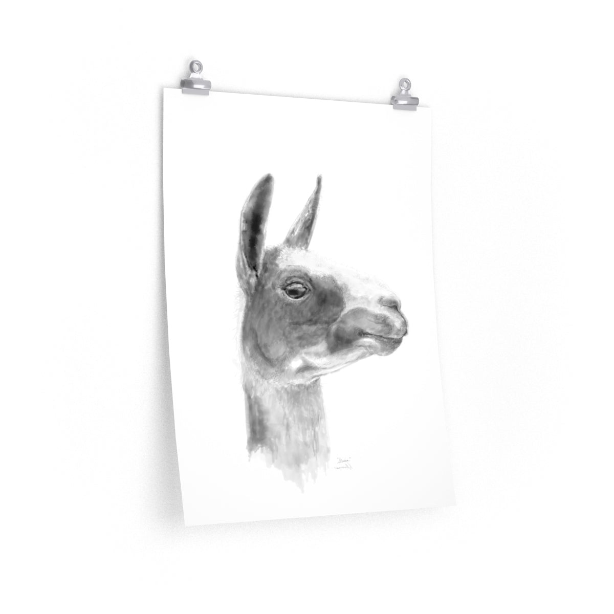 STASIA Llama- Art Paper Print