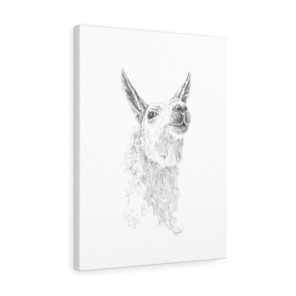 LARRY Llama - Art Canvas