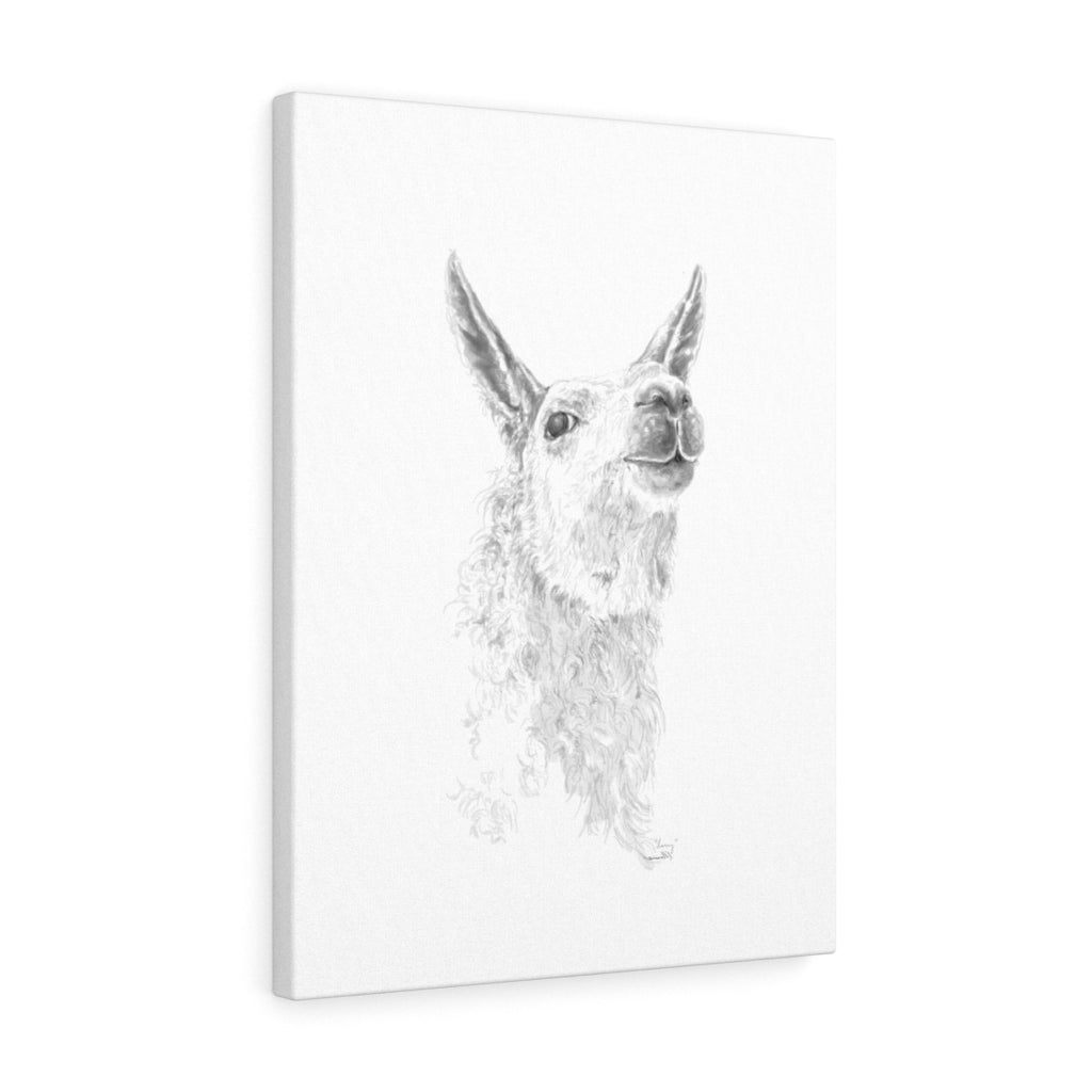 LARRY Llama - Art Canvas