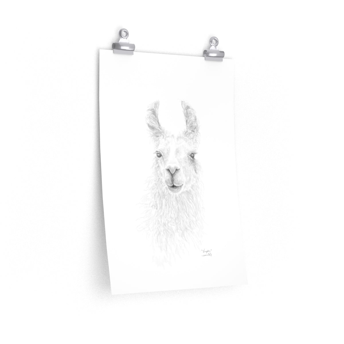 KINGSTON Llama- Art Paper Print