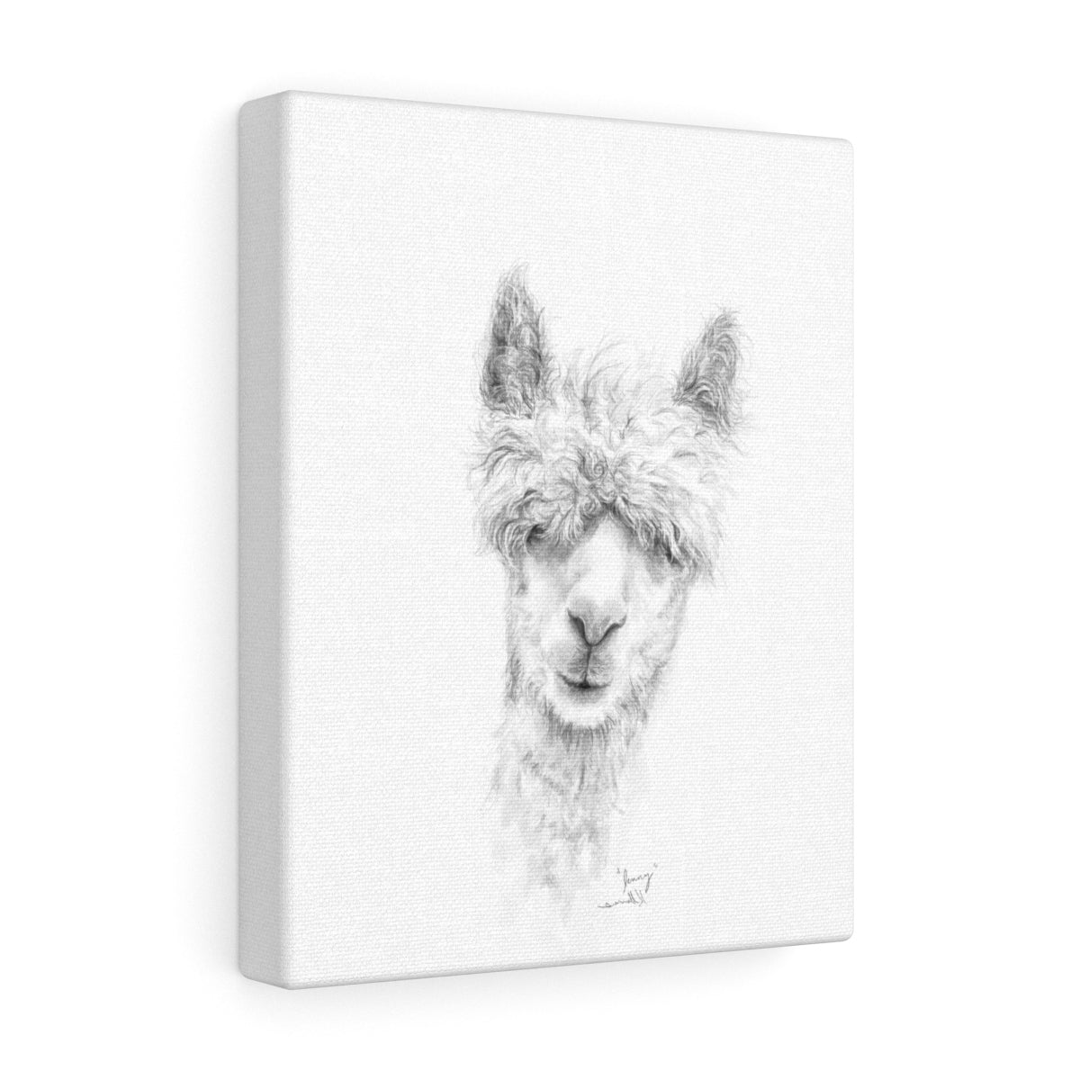 JENNY Llama - Art Canvas