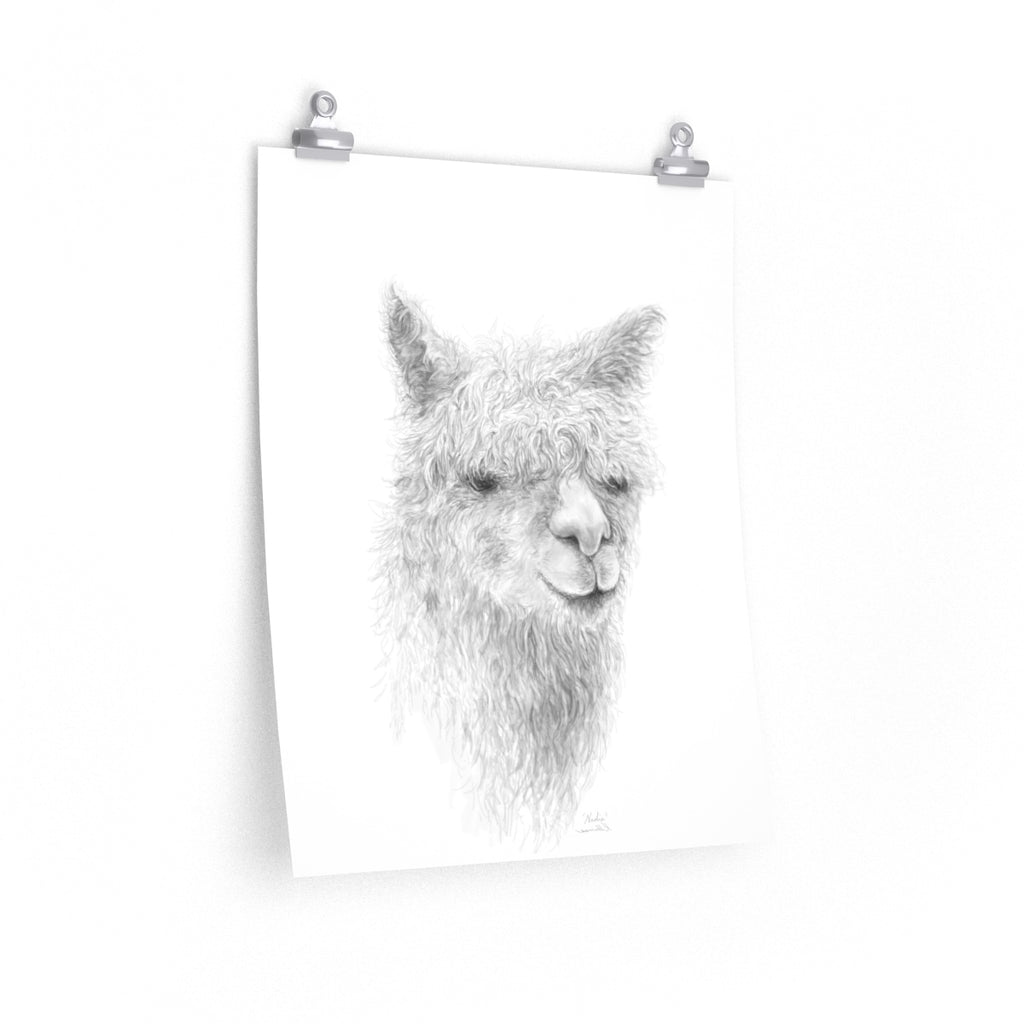 NADIA Llama- Art Paper Print