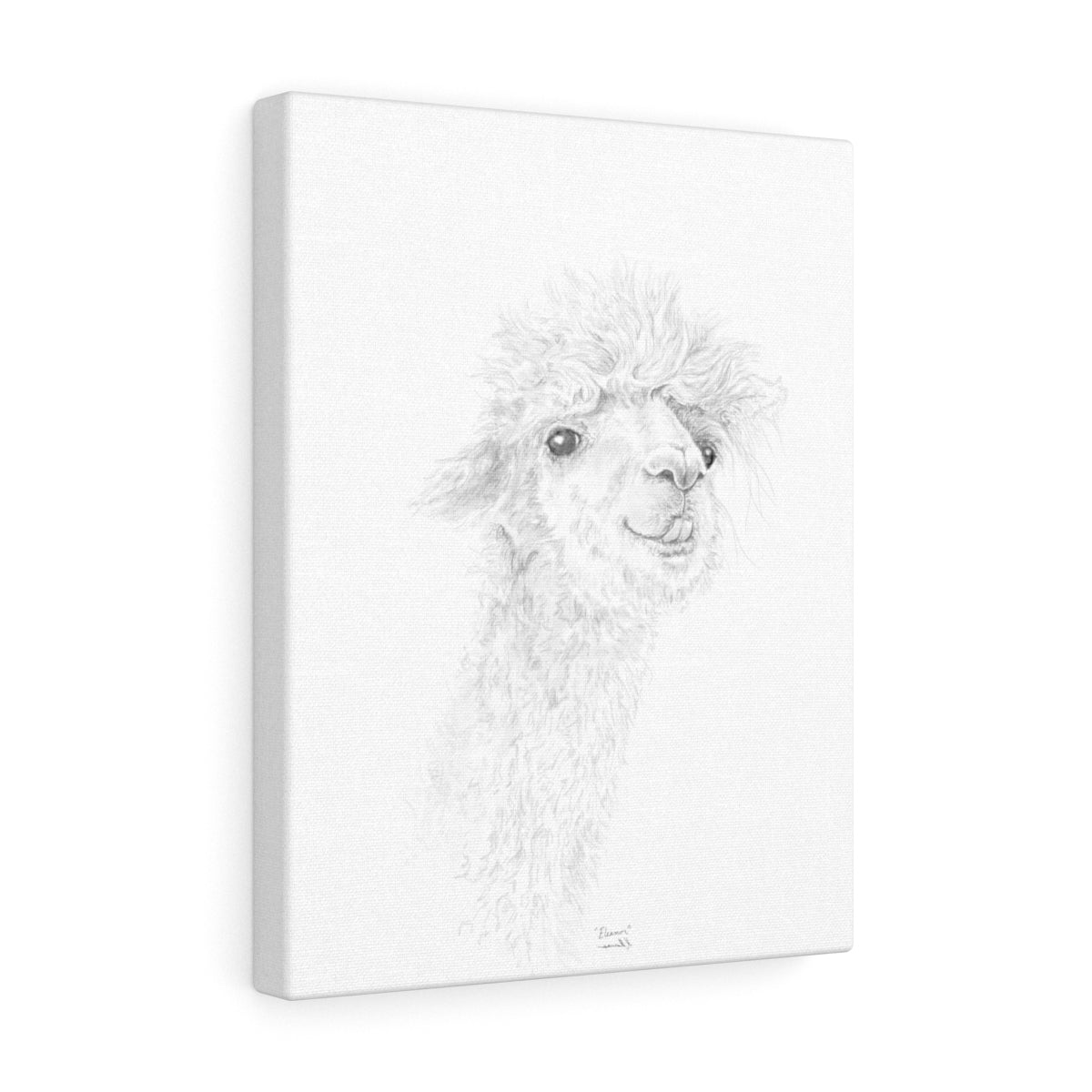 ELEANOR Llama - Art Canvas