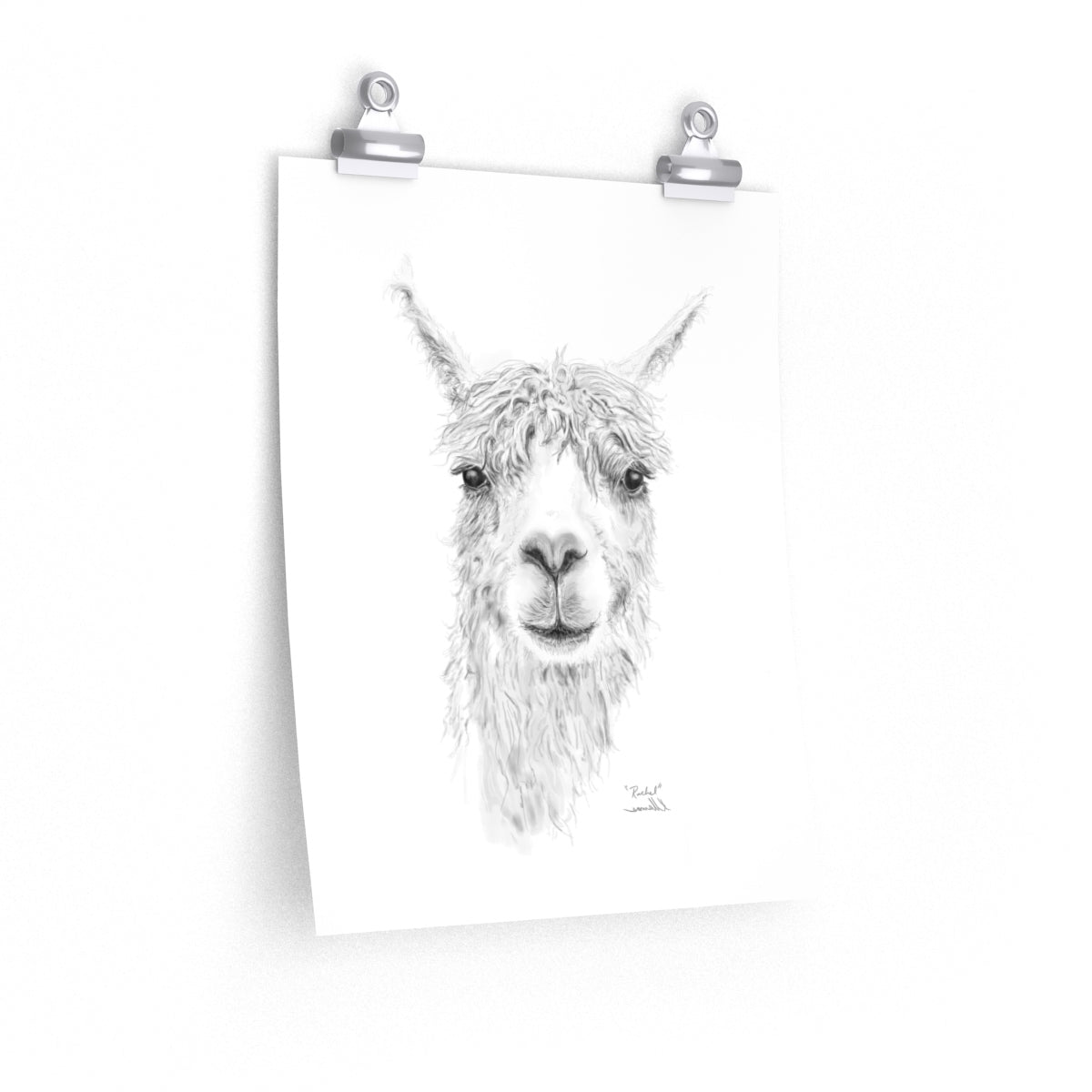 RACHEL Llama- Art Paper Print