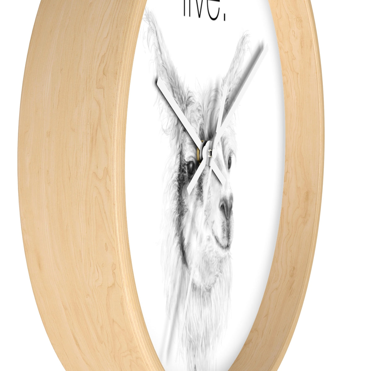 Llama LIVE Wall clock: ADAM