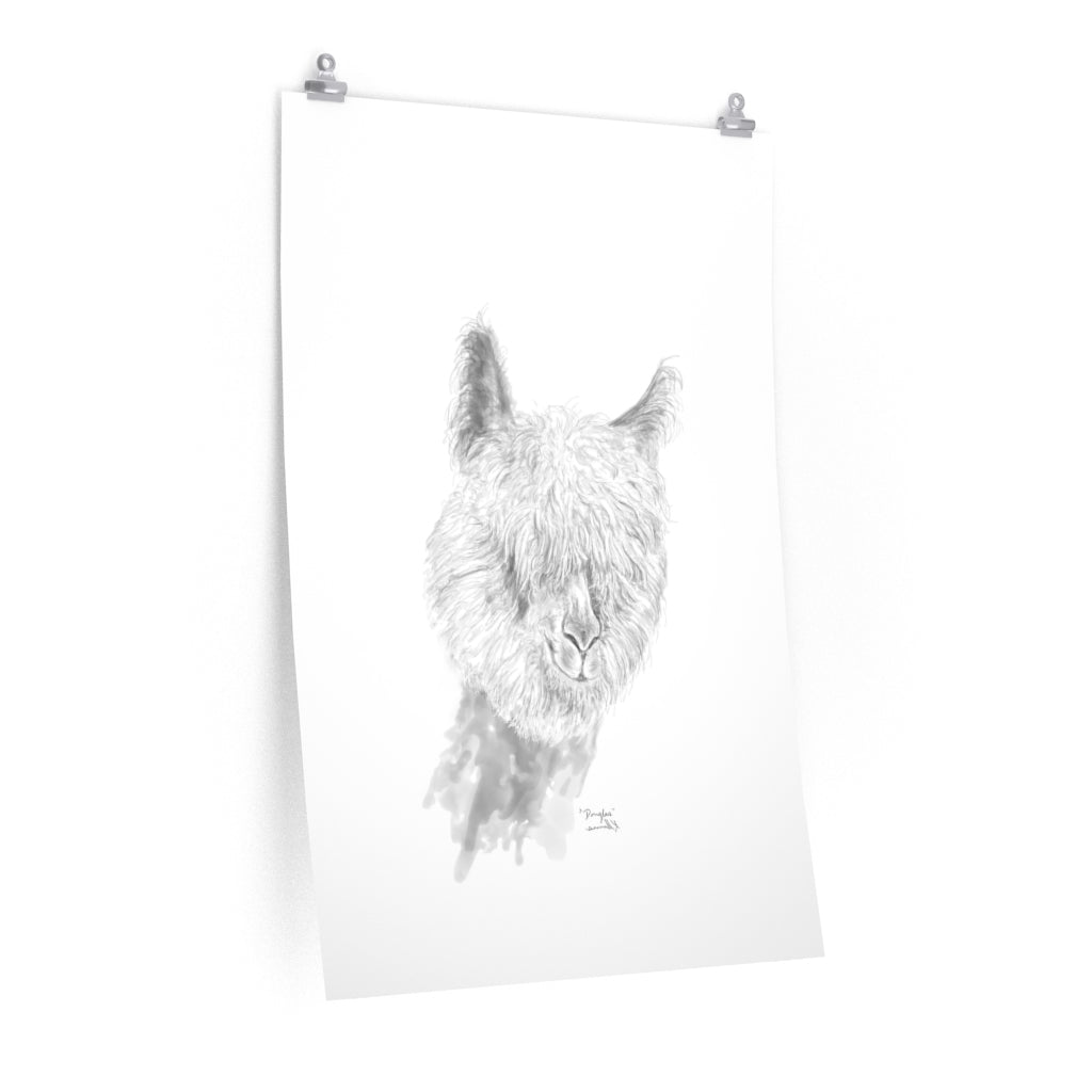 DOUGLAS Llama- Art Paper Print