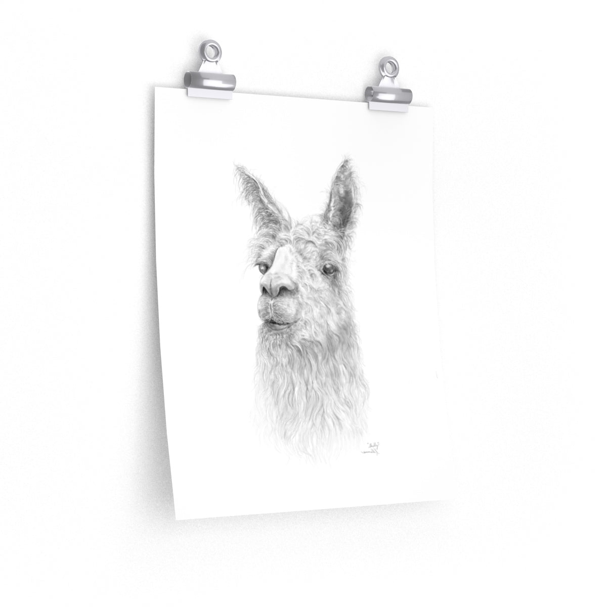 SHELLY Llama- Art Paper Print