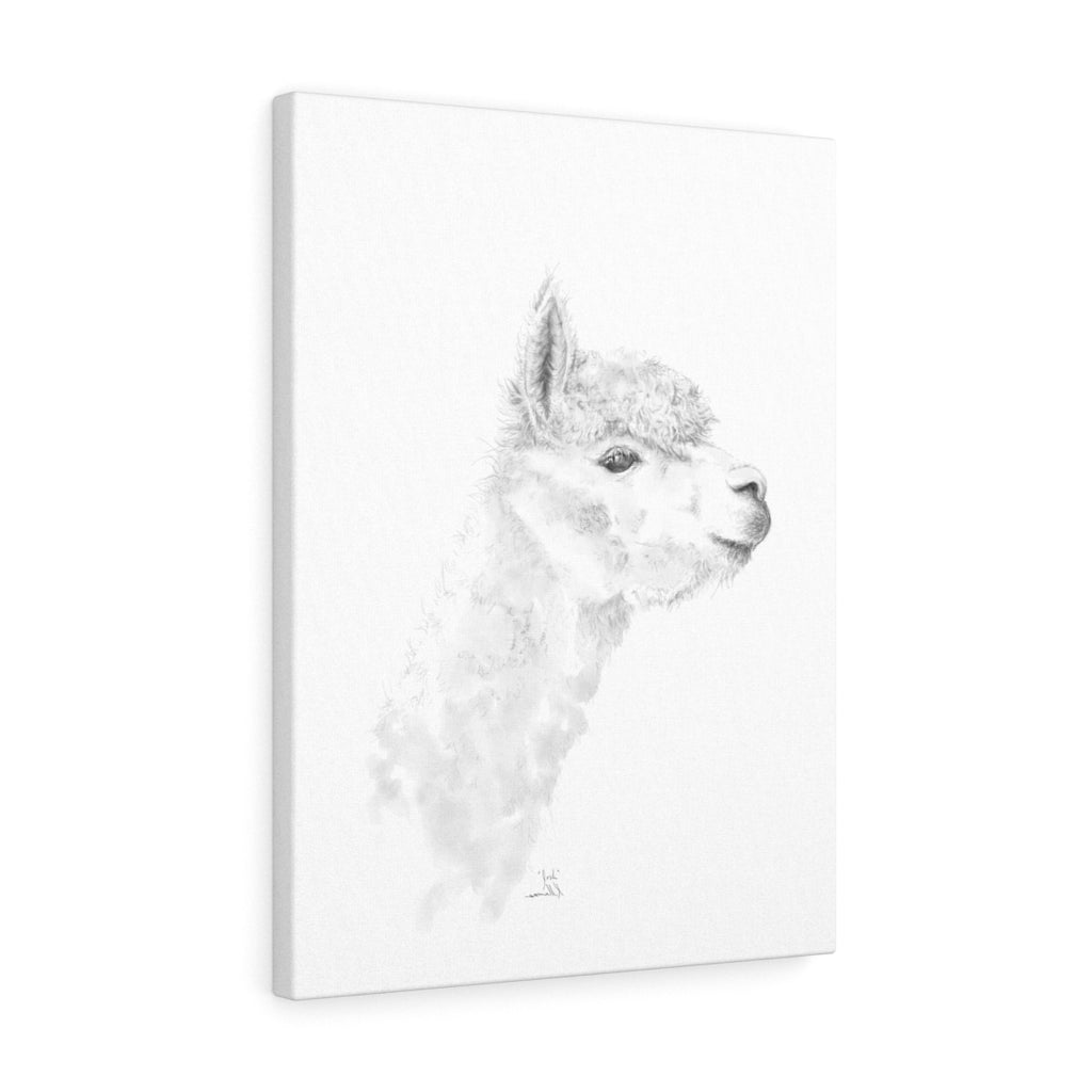 JOSH Llama - Art Canvas