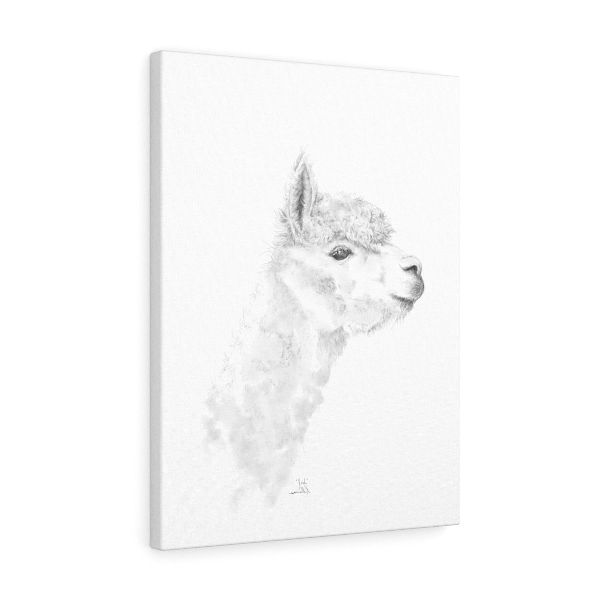 JOSH Llama - Art Canvas