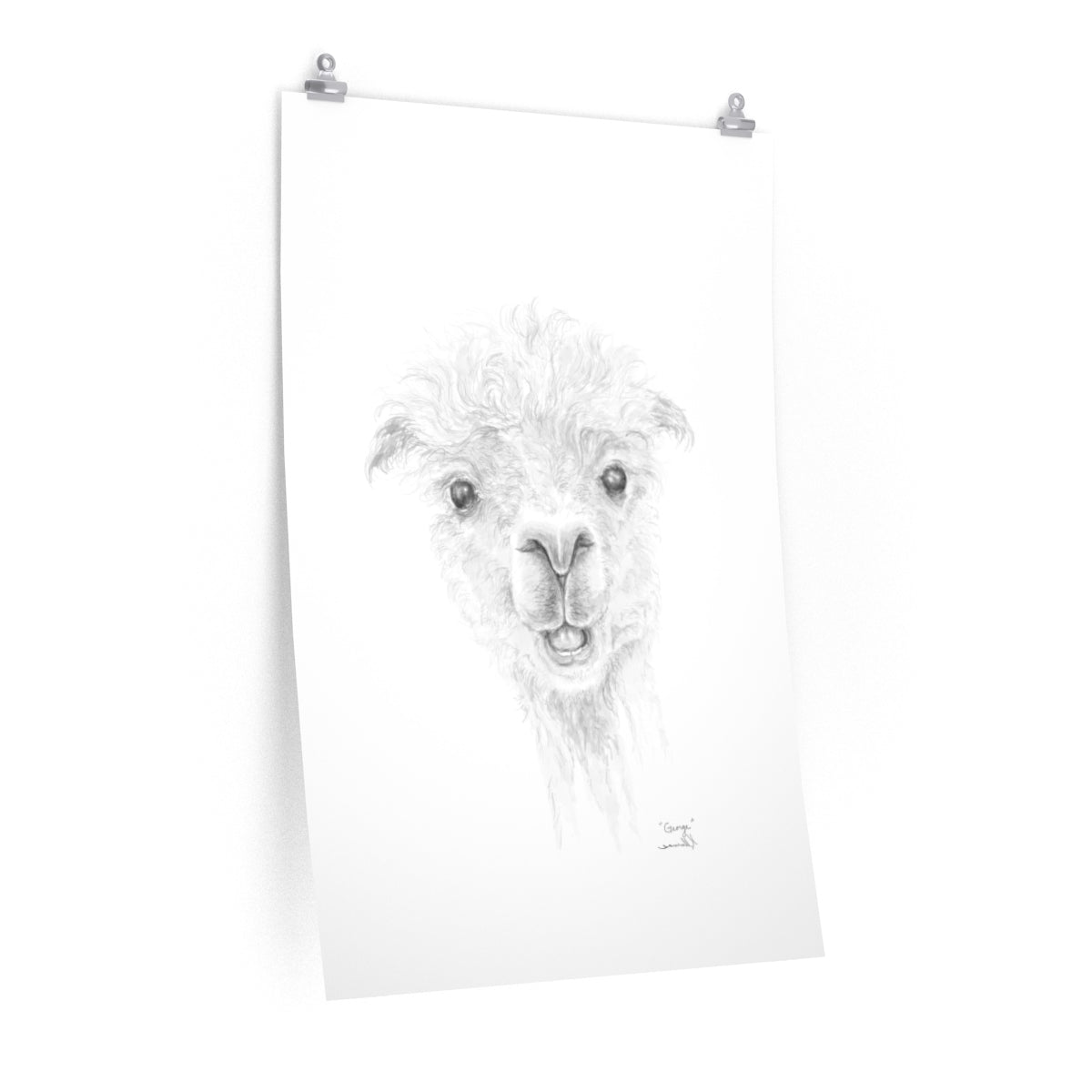 GEORGE Llama- Art Paper Print