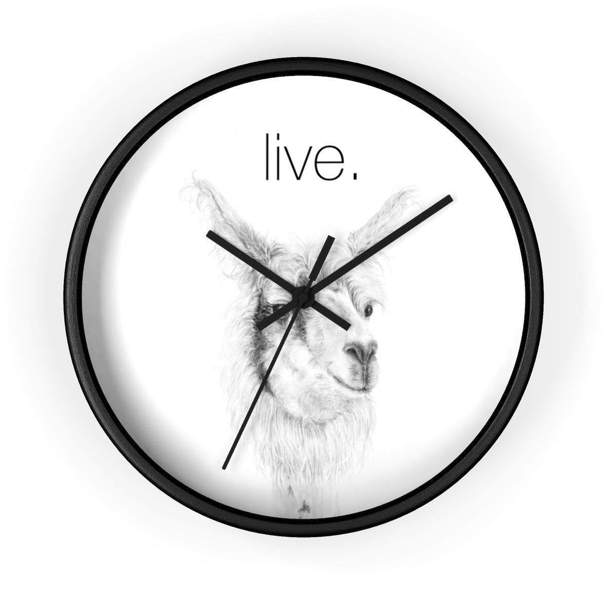 Llama LIVE Wall clock: ADAM