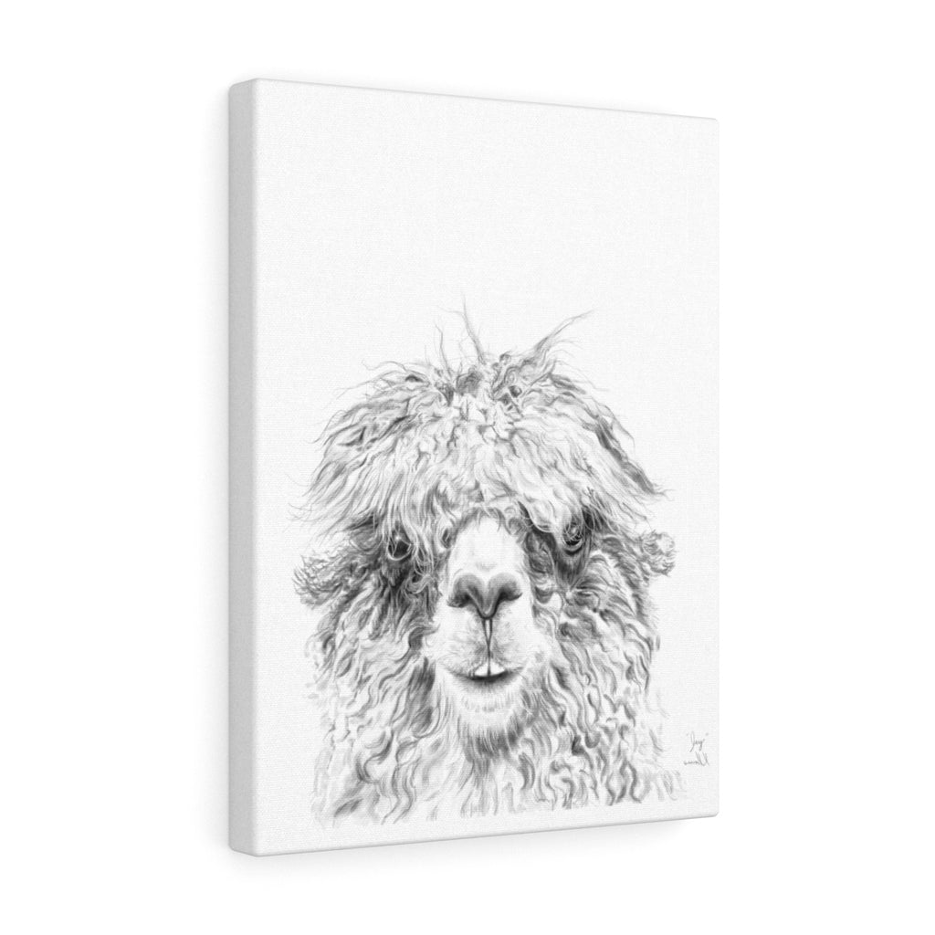 JAY Llama - Art Canvas