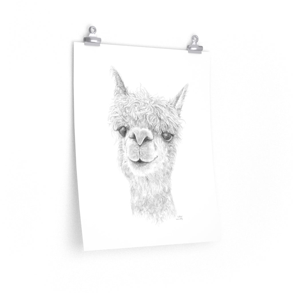 DAKOTA Llama- Art Paper Print