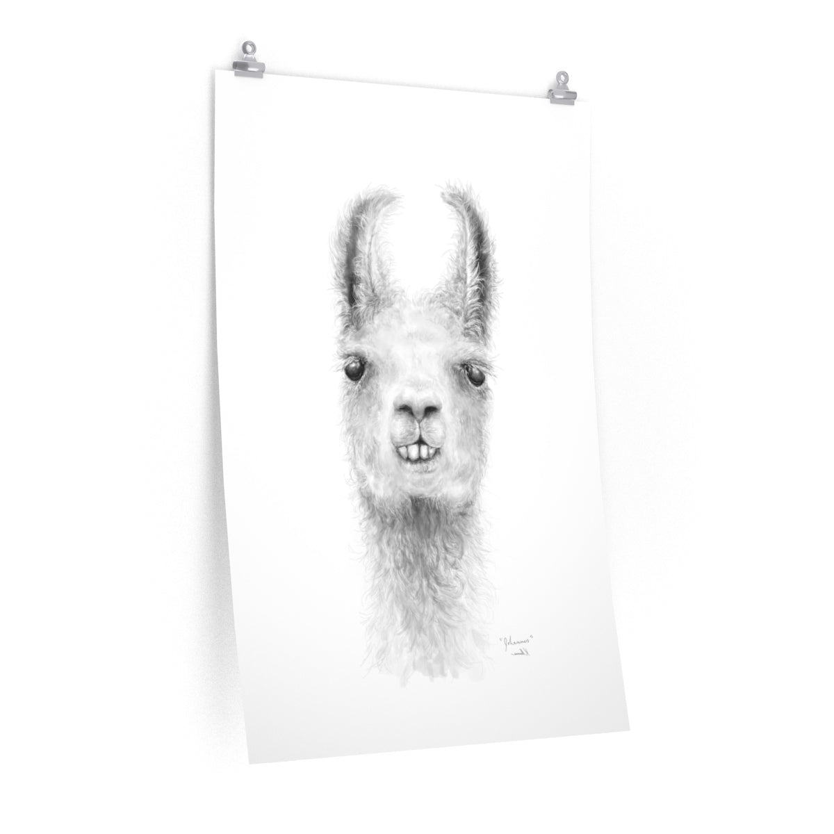 JOHANNES Llama- Art Paper Print