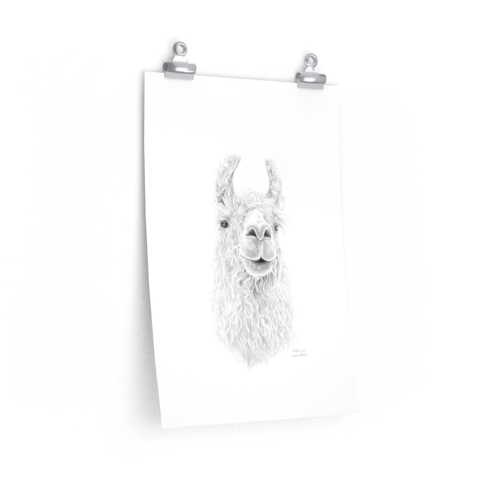 SABRINA Llama- Art Paper Print