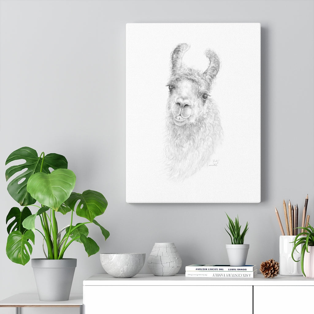 KIRBY Llama - Art Canvas