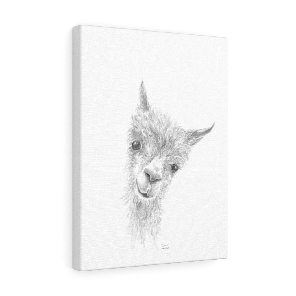 EMMA Llama - Art Canvas