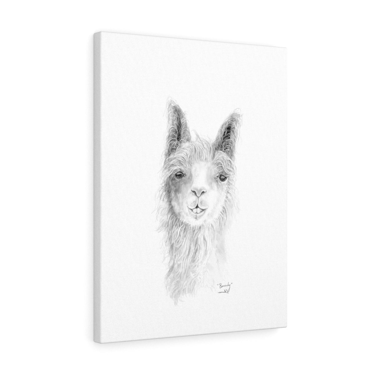 BEVERLY Llama - Art  Canvas