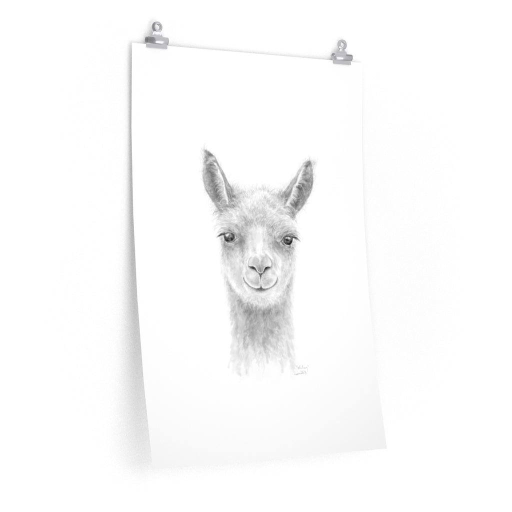 WHITNEY Llama- Art Paper Print