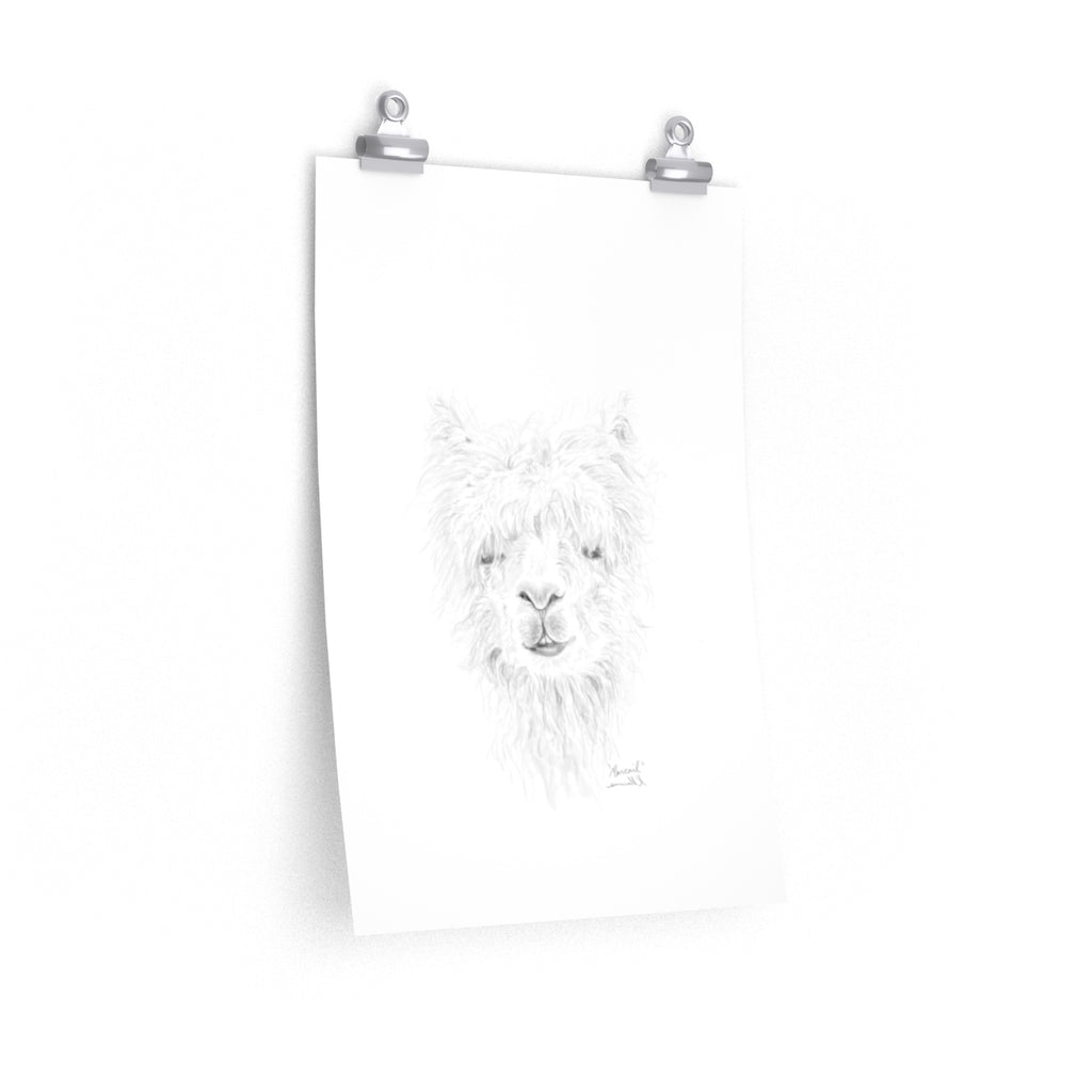 MARCAIL Llama- Art Paper Print