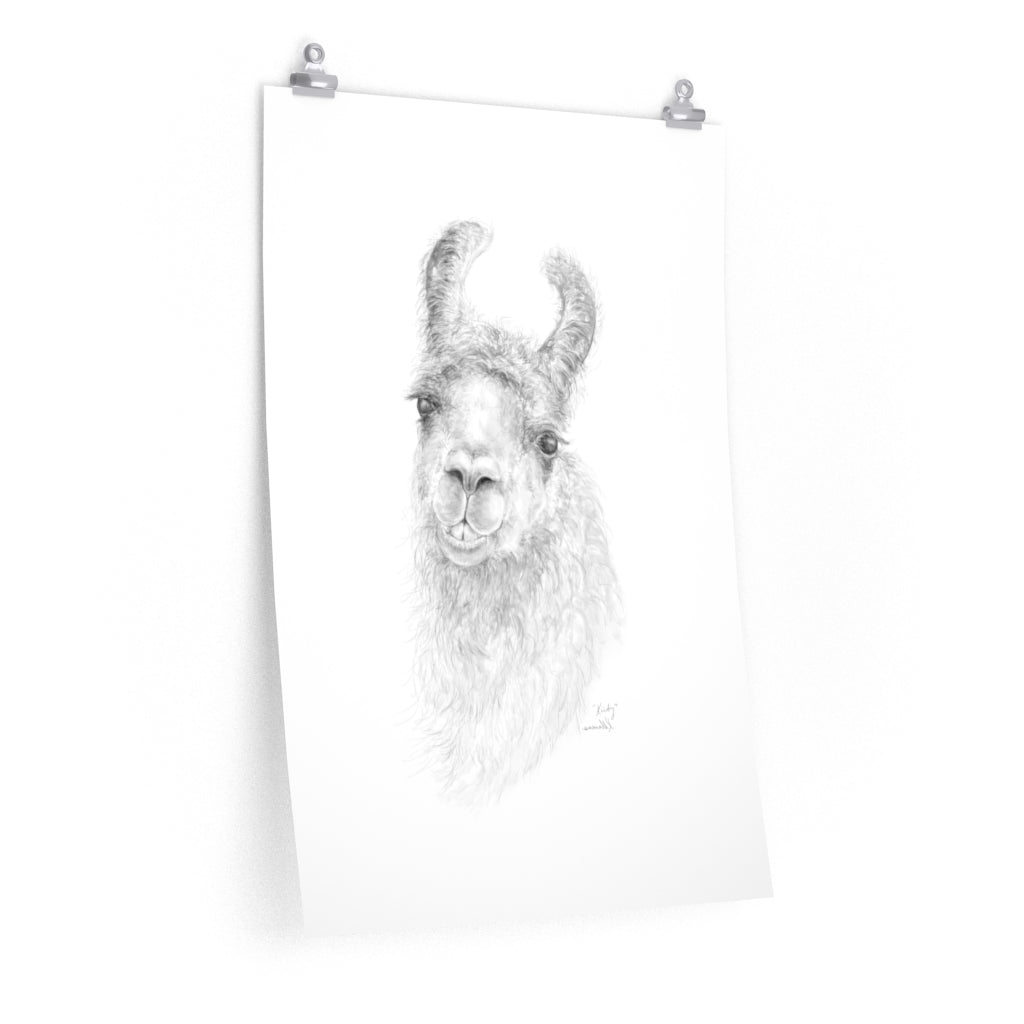 KIRBY Llama- Art Paper Print