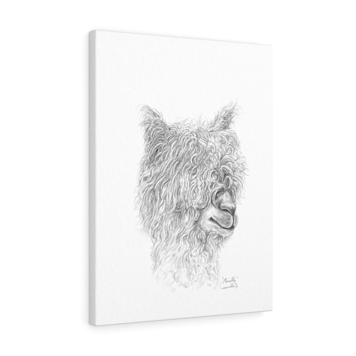 MARIELLE Llama - Art Canvas