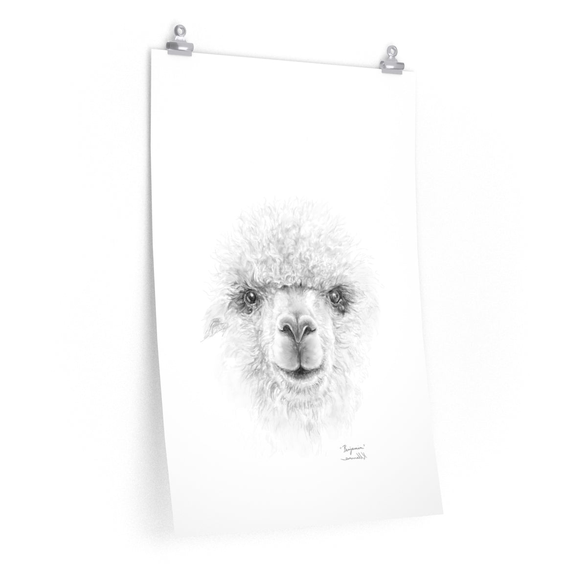 BENJAMIN Llama- Art Paper Print