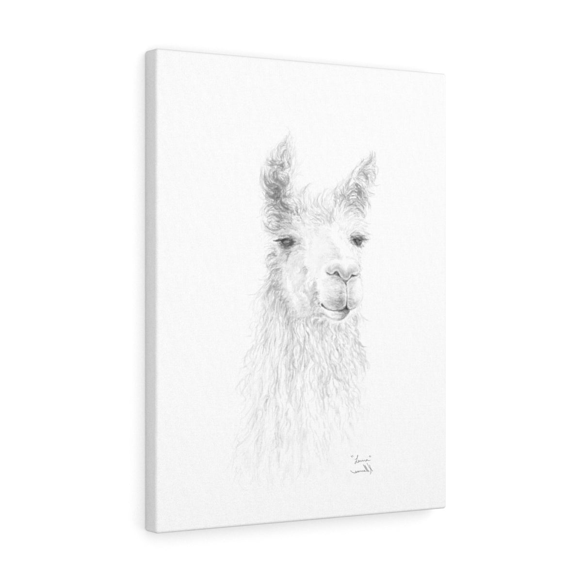 LAURA Llama - Art Canvas